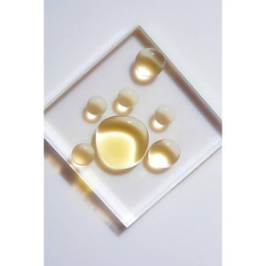 ROSEN Skincare Bright Citrus Scar Treatments Face Serum 1.3 fl oz