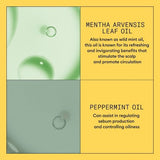 Nioxin System 1 Therapy Conditioner 10.1 fl oz