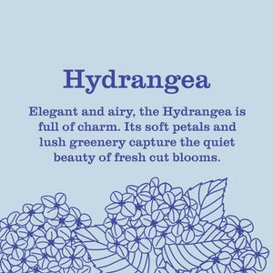 Mrs. Meyer's Clean Day Liquid Hand Soap Hydrangea 12.5 fl oz