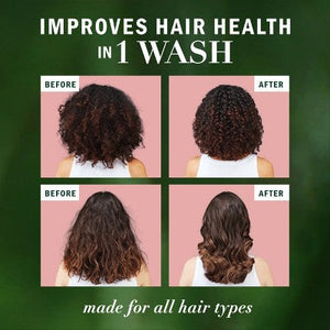 Herbal Essences Grape Seed Shampoo Color Protection 13.5 fl oz