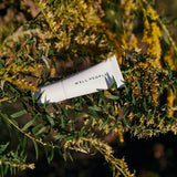 Well People Bio Correct Concealer 7C 0.3oz - Imperfect Box