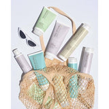 Paul Mitchell Clean Beauty Everyday Shampoo 8.5 fl oz