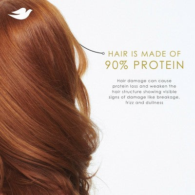 Dove Beauty Daily Moisture Hair Shampoo with Hyaluronic Serum & Bio-Protein Care 28 fl oz
