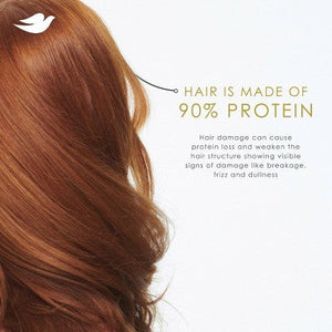 Dove Beauty Daily Moisture Hair Shampoo with Hyaluronic Serum & Bio-Protein Care 28 fl oz