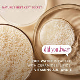 The Face Shop Rice Water Bright Vegan Cream 1.69 fl oz - New