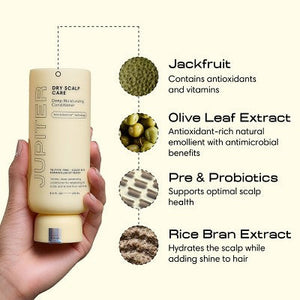 Jupiter Dry Scalp Care Deep Moisturizing Conditioner 8.5 fl oz