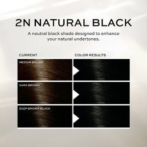 John Frieda Luminous Black Precision Foam Hair Color 2N Natural Black