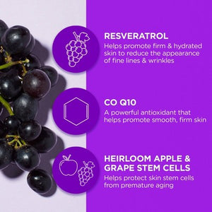 Andalou Naturals Resveratrol Q10 Night Repair Cream 1.7 Oz - Imperfect Box