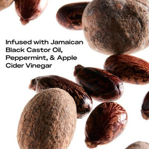 SheaMoisture Jamaican Black Castor Oil Strengthen & Restore Shampoo 13 fl oz - Imperfect Container