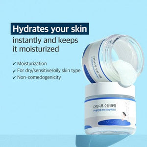 Round Lab Birch Juice Moisturizing Cream 80ml Hydrating Skincare