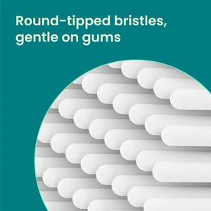 Quip Rev Oscillating Brush Head Refill White 2-Pack Imperfect Box