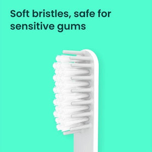Quip Sonic Brush Head Refill 4-Pack - Imperfect Box