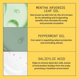 Nioxin System 1 Shampoo Cleanser 10.1 fl oz - New