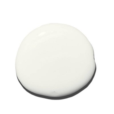 Paul Mitchell Clean Beauty Everyday Leave-In Hair Treatment 5.1 fl oz