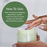 DHC Olive Virgin Oil Essential Moisturizing Cream 1.7 fl oz - Imperfect Box