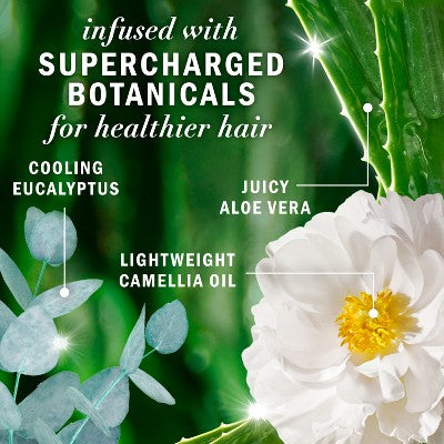 Herbal Essences Sulfate Free Eucalyptus Shampoo for Dry Scalp 13.5 fl oz
