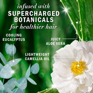 Herbal Essences Sulfate Free Eucalyptus Shampoo for Dry Scalp 13.5 fl oz
