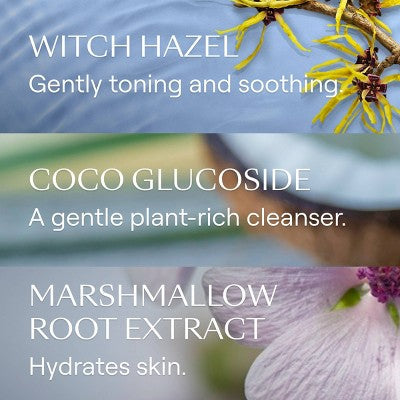 Weleda Gentle Cleansing Foam Lemon, Orange & Lavender 5.0 fl oz