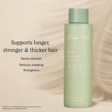 Rizos Curls Biotin Shampoo 10 fl oz - Imperfect Container