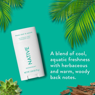 Native Solid Deodorant for Men & Women Palm Leaf & Agave 2.65oz