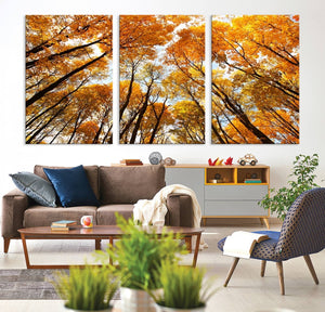 Golden Autumn Forest Wall Art Canvas Print – Framed Vibrant