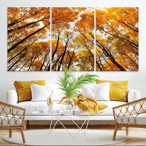 Golden Autumn Forest Wall Art Canvas Print – Framed Vibrant