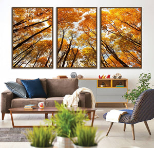 Golden Autumn Forest Wall Art Canvas Print – Framed Vibrant