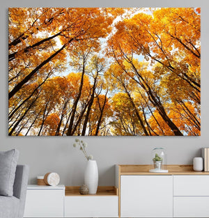 Golden Autumn Forest Wall Art Canvas Print – Framed Vibrant