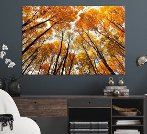 Golden Autumn Forest Wall Art Canvas Print – Framed Vibrant