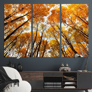 Golden Autumn Forest Wall Art Canvas Print – Framed Vibrant