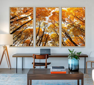 Golden Autumn Forest Wall Art Canvas Print – Framed Vibrant