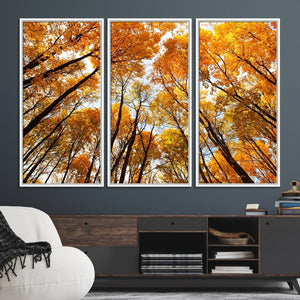 Golden Autumn Forest Wall Art Canvas Print – Framed Vibrant