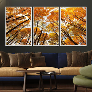 Golden Autumn Forest Wall Art Canvas Print – Framed Vibrant