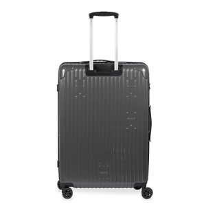 Check-In Luggage