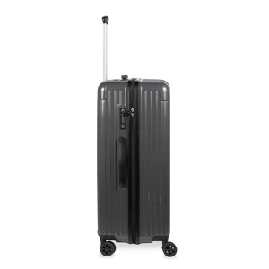 Check-In Luggage