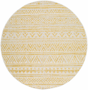 Haluk Area Rug