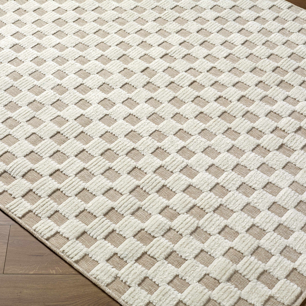 Anthea Light Gray Washable Area Rug