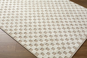 Anthea Light Gray Washable Area Rug