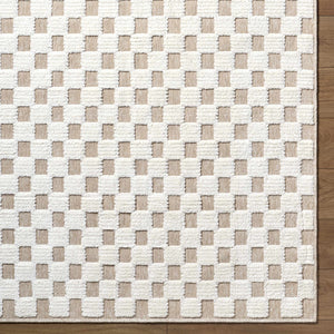 Anthea Light Gray Washable Area Rug