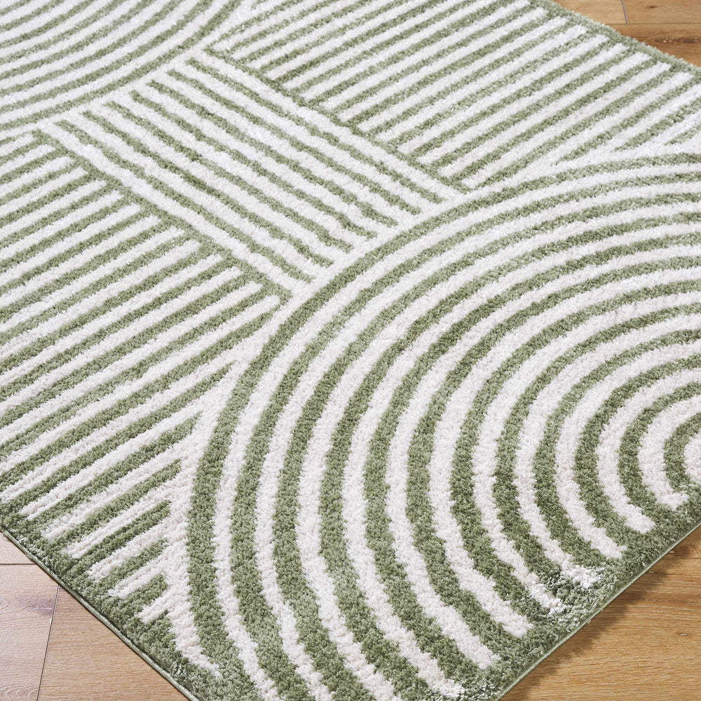 Allard Green Washable Area Rug