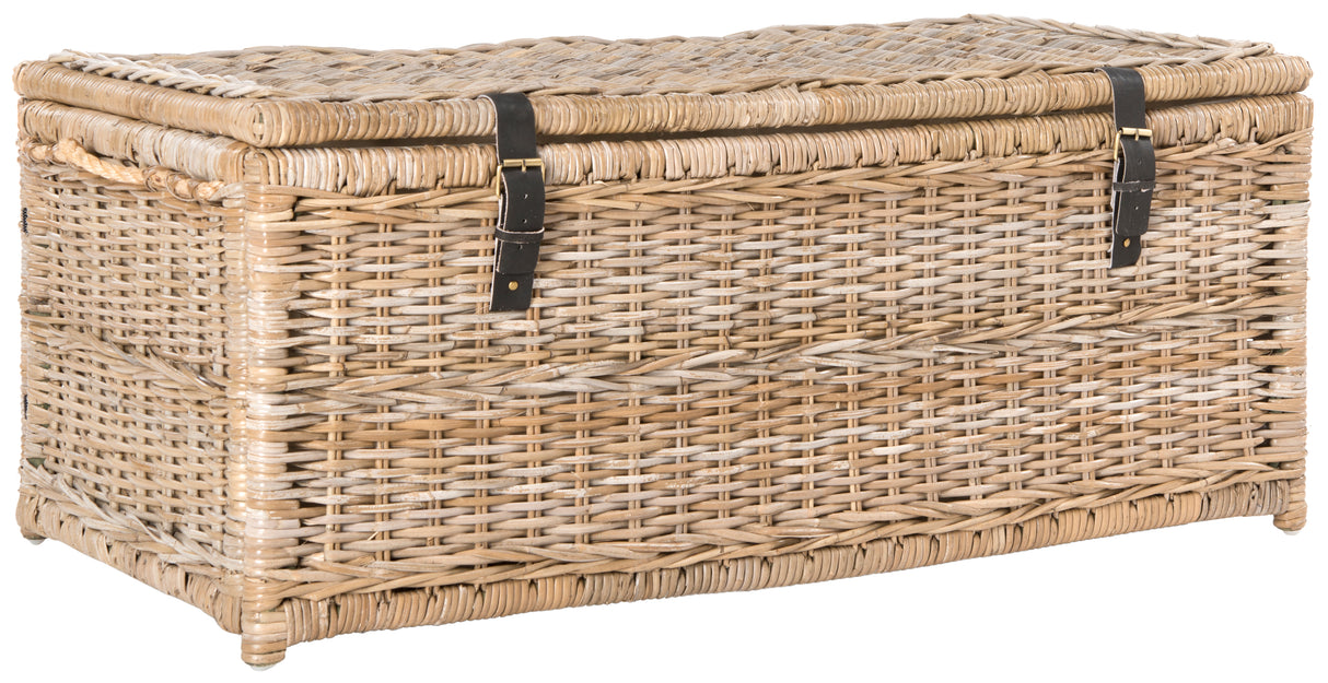Caden Wicker Storage Trunk