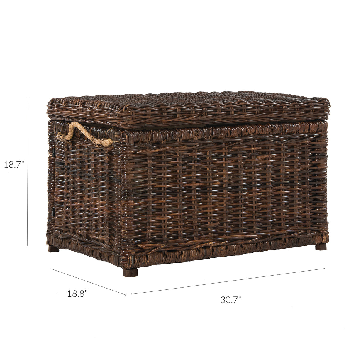 Jacob Handwoven Wicker Storage Trunk