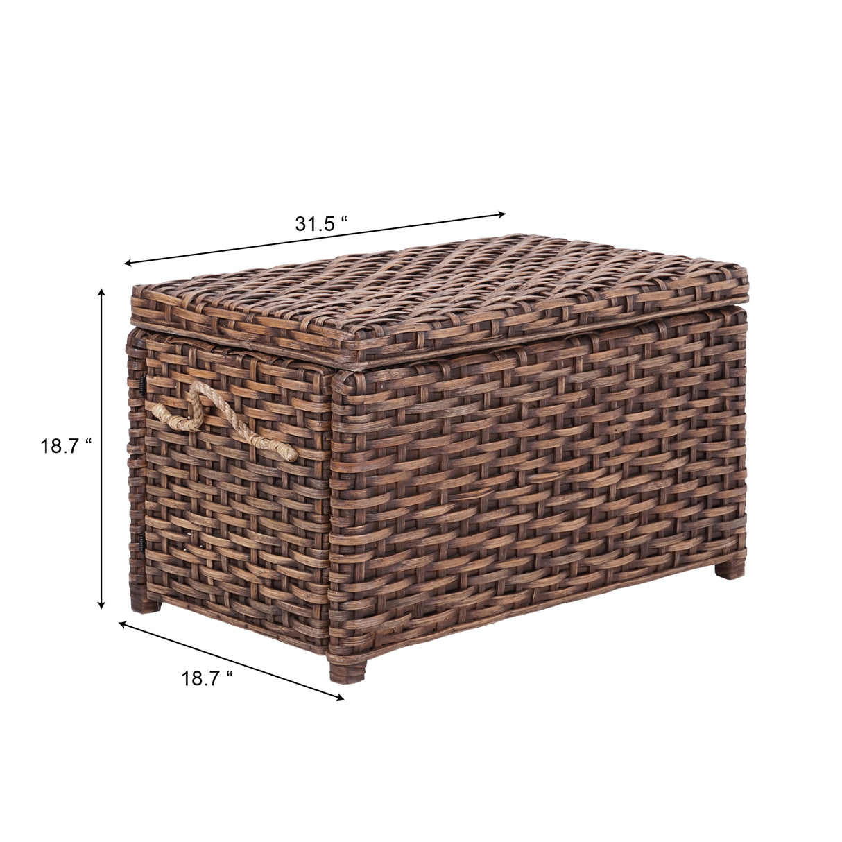 Jacob Handwoven Wicker Storage Trunk