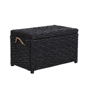 Jacob Handwoven Wicker Storage Trunk