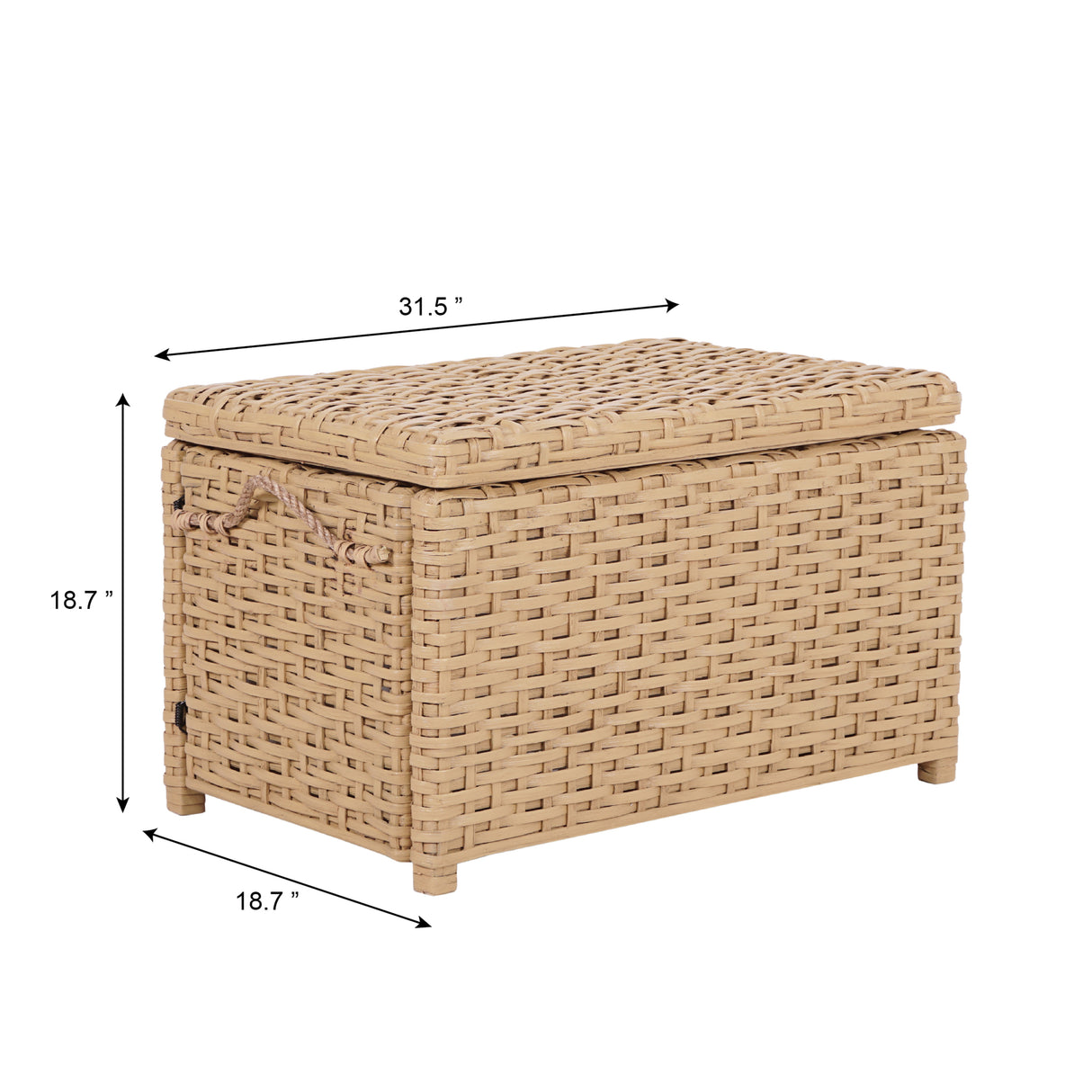 Jacob Handwoven Wicker Storage Trunk