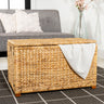Anada-Wicker-Weave-Storage-Trunk-Boxes-&-Storage