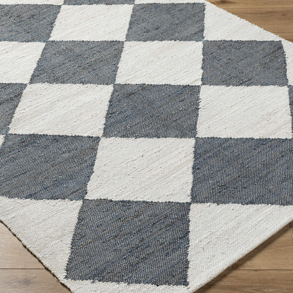 Andrin Gray Area Rug