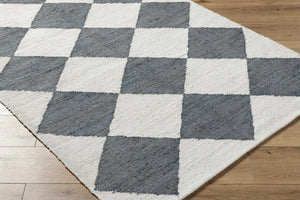 Andrin Gray Area Rug