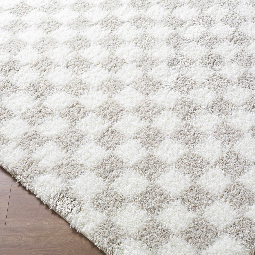 Ardice Area Rug