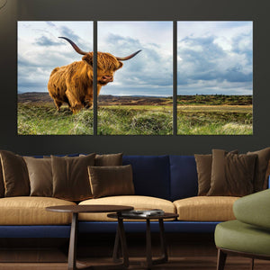 Highland Cattle Wall Art Cow Canvas Print Animal Art